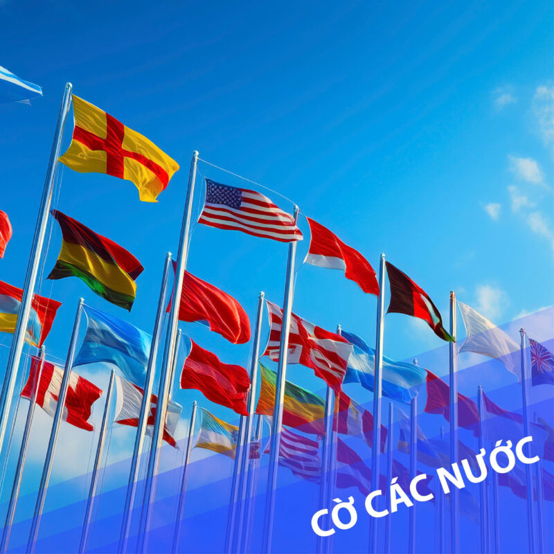 Thế giới cờ vải