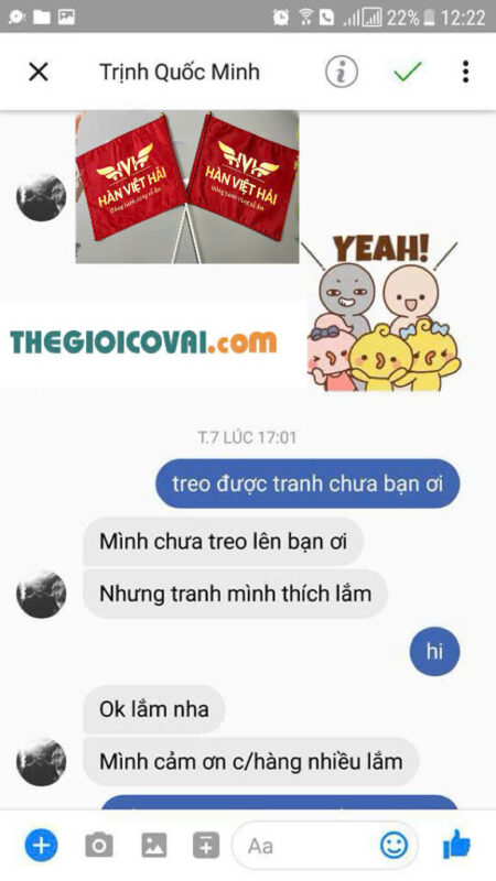 Thế giới cờ vải