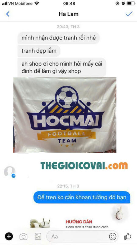 Thế giới cờ vải