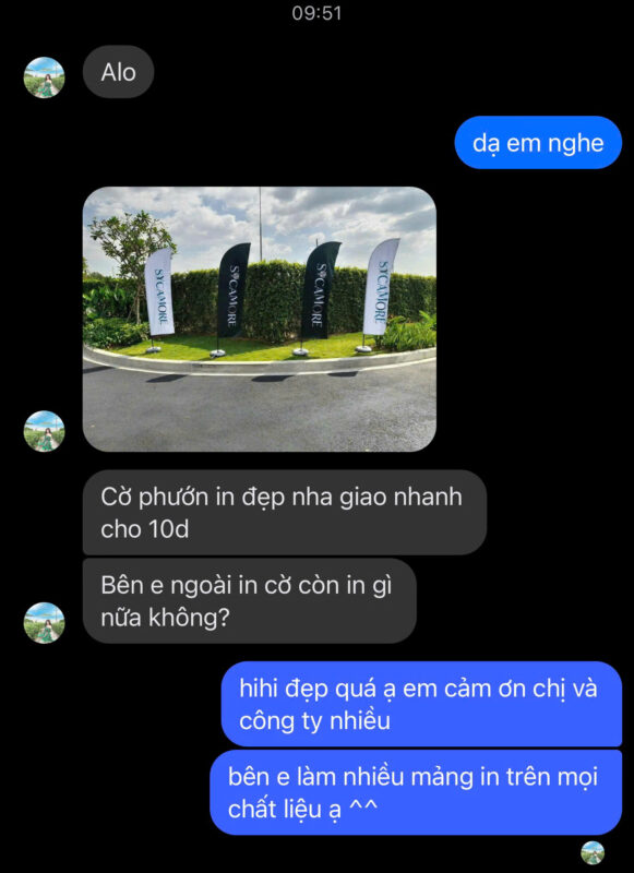 Thế giới cờ vải